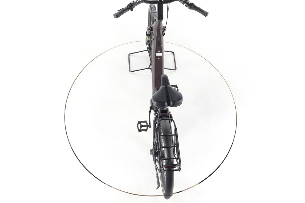Pegasus Strong EVO 5R City E-Bike Tiefeinsteiger 2024 - Image 22