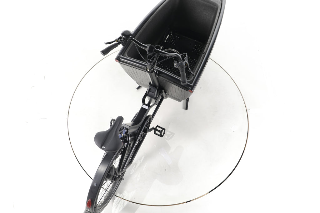 Urban Arrow Family Performance Plus E-Lastenrad - Image 23