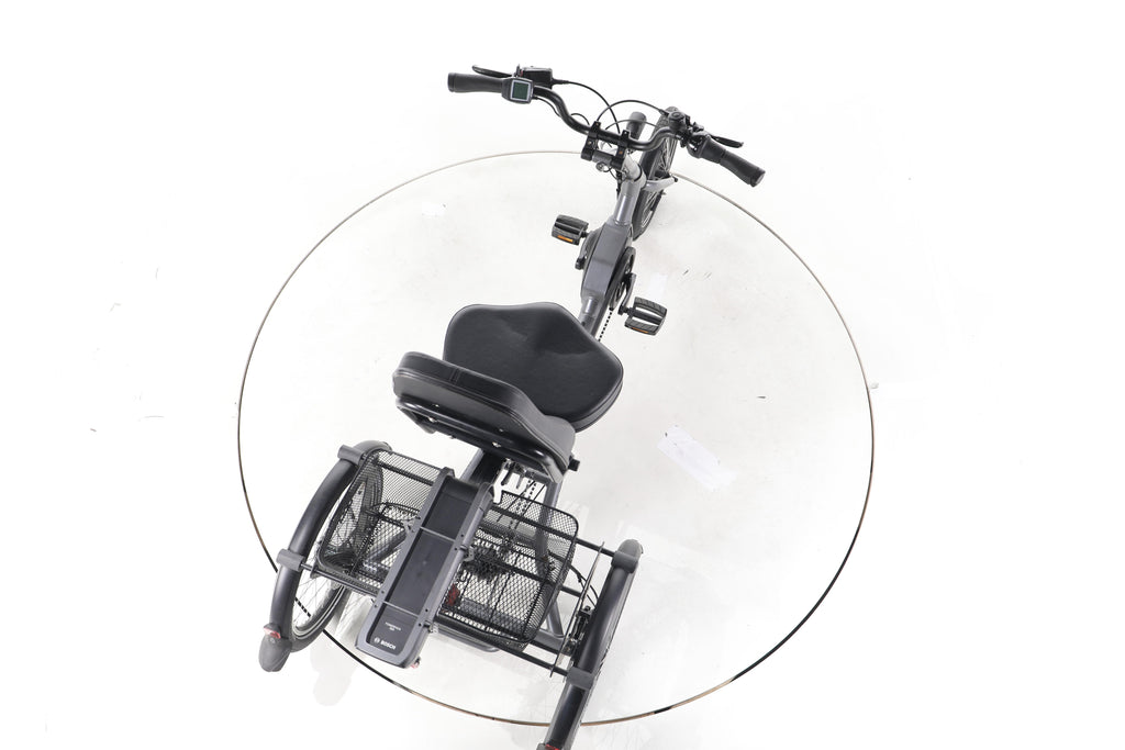 Pfiff-Pfautec Scoobo E-Lastenrad - Image 23