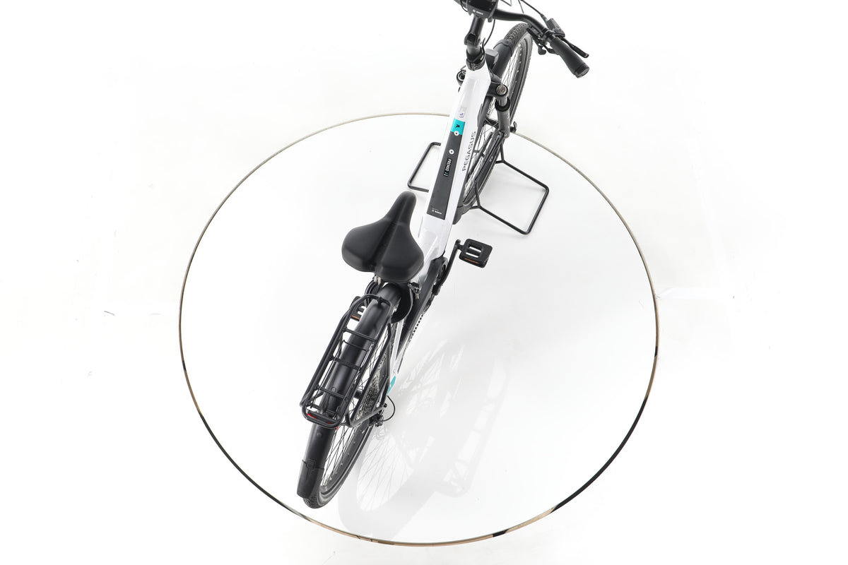 Pegasus Premio Evo Lite Comfort Trekking E-Bike Tiefeinsteiger - Image 23