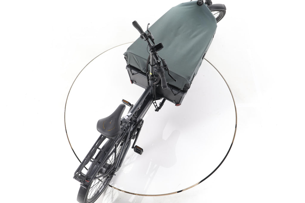 Riese & Müller Load 75 vario E-Lastenrad - Image 23