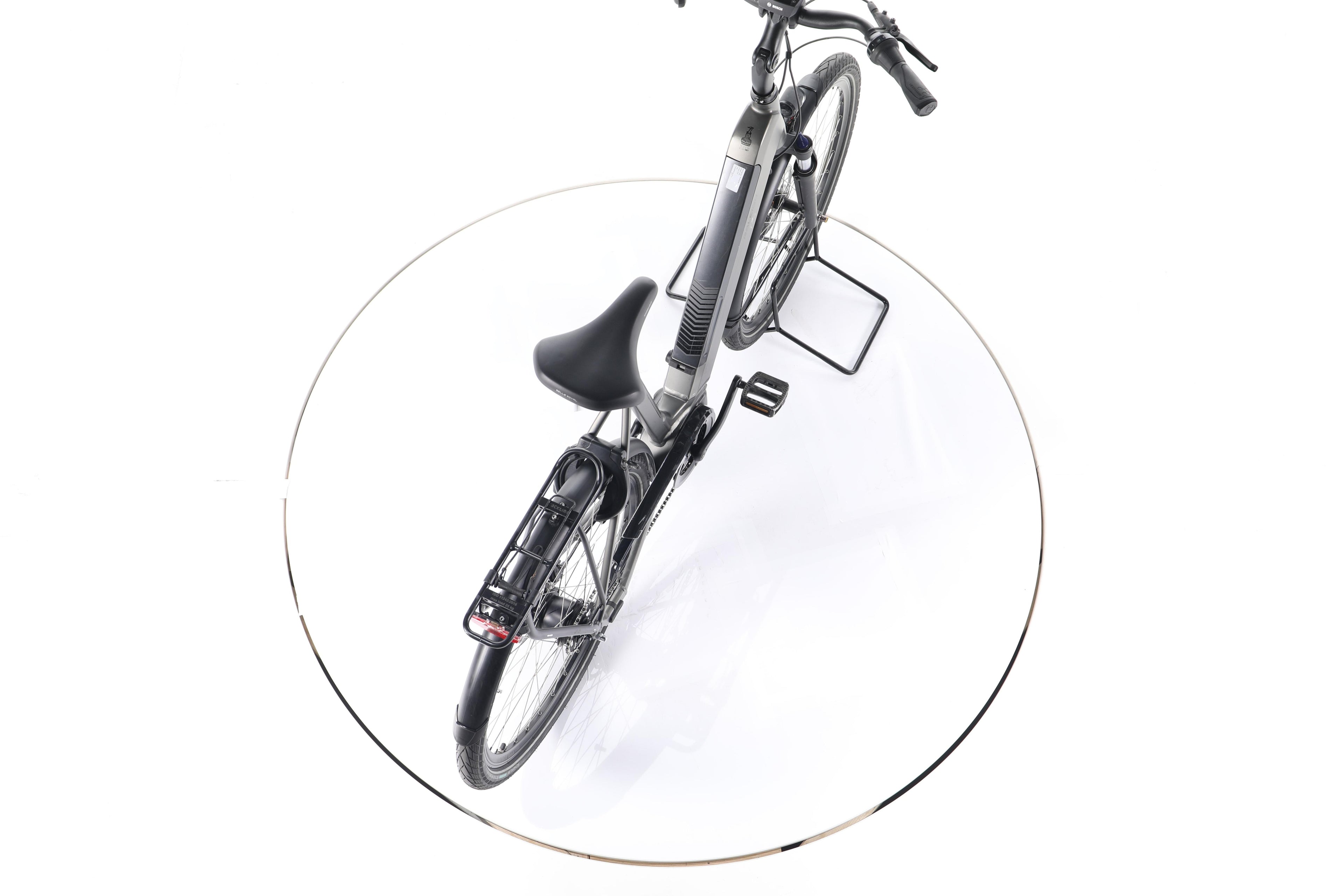 Raleigh Bristol XXL City E-Bike Tiefeinsteiger - Image 23