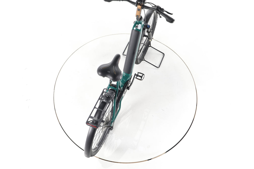 ADVANCED Trekking Pro Trekking E-Bike Tiefeinsteiger - Image 23