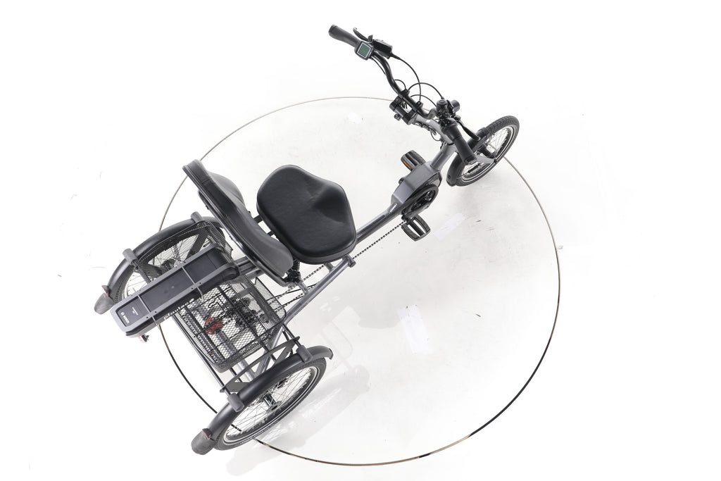 Pfiff-Pfautec Scoobo E-Lastenrad - Image 24