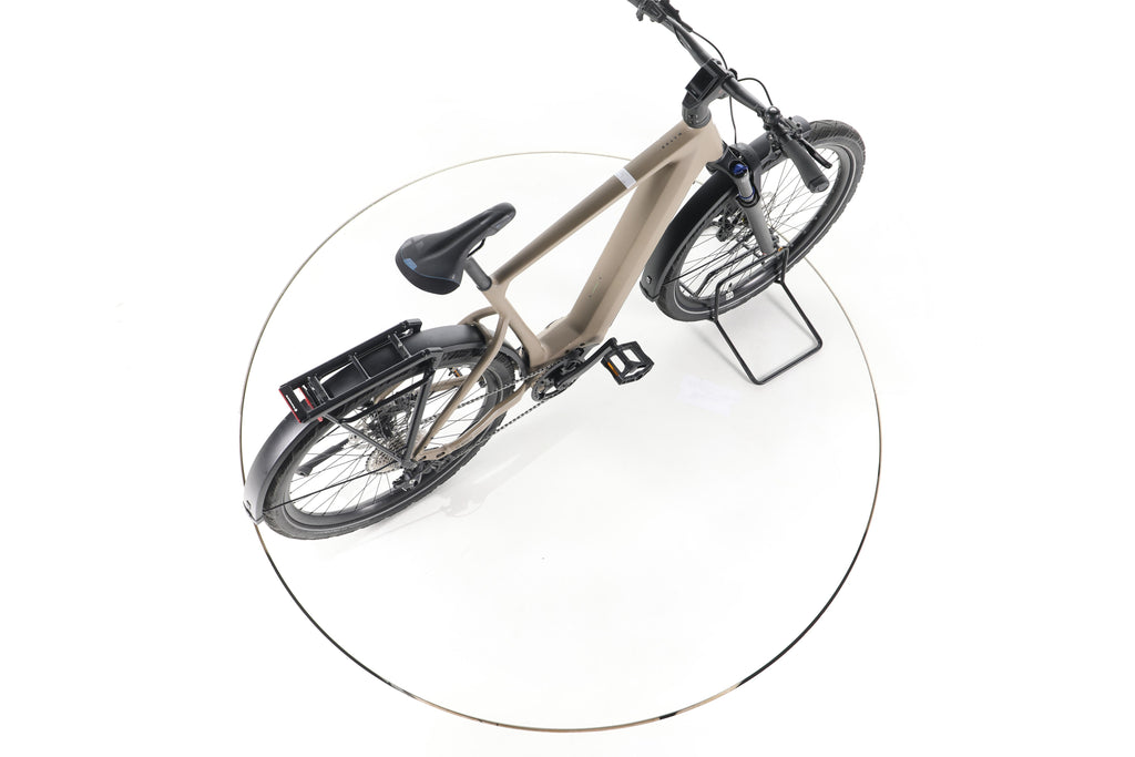 Rose Mayor Plus 1 SUV Trekking E-Bike 2024 - Image 24